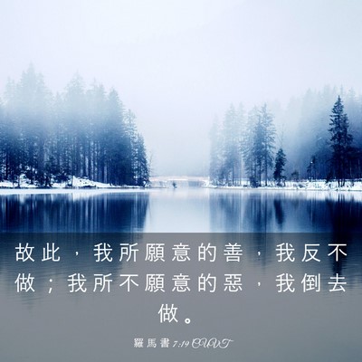 Picture 03 - 羅 馬 書 7:19 CUVT - 故 此 ， 我 所 願 意 的 善 ， 我 反 - Bible Verse Picture