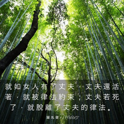 Picture 03 - 羅 馬 書 7:2 CUVT - 就 如 女 人 有 了 丈 夫 ， 丈 夫 還 - Bible Verse Picture