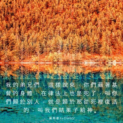 Picture 03 - 羅 馬 書 7:4 CUVT - 我 的 弟 兄 們 ， 這 樣 說 來 ， 你 - Bible Verse Picture