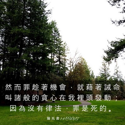 Picture 03 - 羅 馬 書 7:8 CUVT - 然 而 罪 趁 著 機 會 ， 就 藉 著 誡 - Bible Verse Picture
