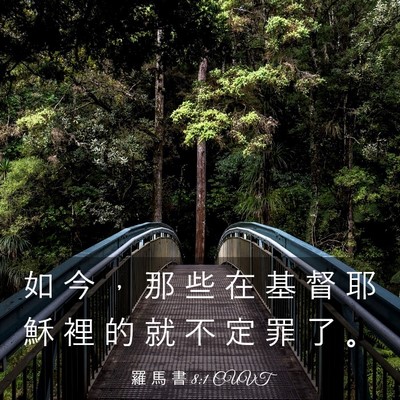Picture 03 - 羅 馬 書 8:1 CUVT - 如 今 ， 那 些 在 基 督 耶 穌 裡 的 - Bible Verse Picture