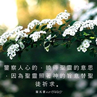 Picture 03 - 羅 馬 書 8:27 CUVT - 鑒 察 人 心 的 ， 曉 得 聖 靈 的 意 - Bible Verse Picture