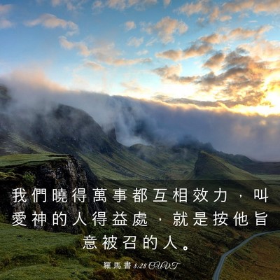 Picture 03 - 羅 馬 書 8:28 CUVT - 我 們 曉 得 萬 事 都 互 相 效 力 ， - Bible Verse Picture