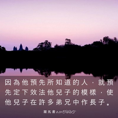 Picture 03 - 羅 馬 書 8:29 CUVT - 因 為 他 預 先 所 知 道 的 人 ， 就 - Bible Verse Picture