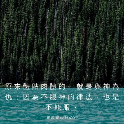 Picture 03 - 羅 馬 書 8:7 CUVT - 原 來 體 貼 肉 體 的 ， 就 是 與 神 - Bible Verse Picture