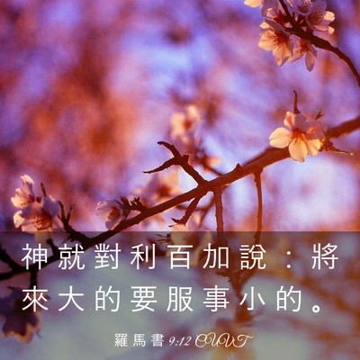 Picture 03 - 羅 馬 書 9:12 CUVT - 神 就 對 利 百 加 說 ： 將 來 大 的 - Bible Verse Picture