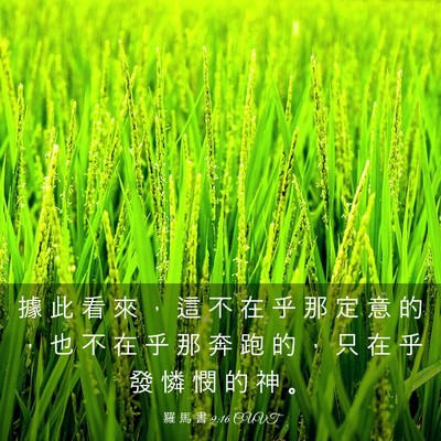 Picture 03 - 羅 馬 書 9:16 CUVT - 據 此 看 來 ， 這 不 在 乎 那 定 意 - Bible Verse Picture