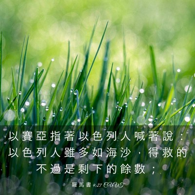 Picture 03 - 羅 馬 書 9:27 CUVT - 以 賽 亞 指 著 以 色 列 人 喊 著 說 - Bible Verse Picture