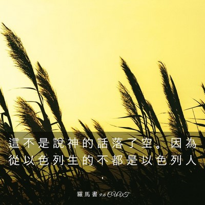 Picture 03 - 羅 馬 書 9:6 CUVT - 這 不 是 說 神 的 話 落 了 空 。 因 - Bible Verse Picture