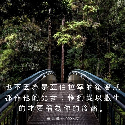 Picture 03 - 羅 馬 書 9:7 CUVT - 也 不 因 為 是 亞 伯 拉 罕 的 後 裔 - Bible Verse Picture