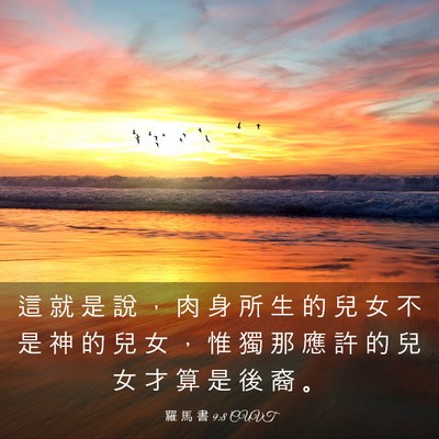 Picture 03 - 羅 馬 書 9:8 CUVT - 這 就 是 說 ， 肉 身 所 生 的 兒 女 - Bible Verse Picture