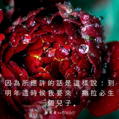 Picture 03 - 羅 馬 書 9:9 CUVT - 因 為 所 應 許 的 話 是 這 樣 說 ： - Bible Verse Picture