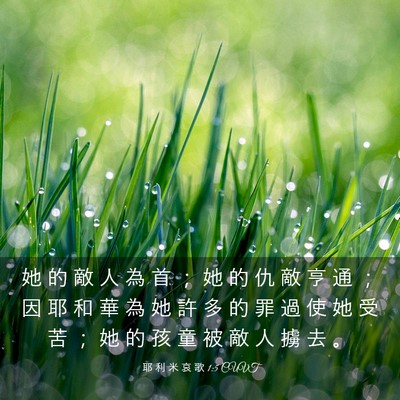 Picture 03 - 耶 利 米 哀 歌 1:5 CUVT - 她 的 敵 人 為 首 ； 她 的 仇 敵 亨 - Bible Verse Picture