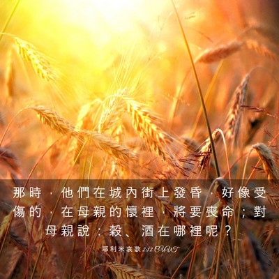 Picture 03 - 耶 利 米 哀 歌 2:12 CUVT - 那 時 ， 他 們 在 城 內 街 上 發 昏 - Bible Verse Picture