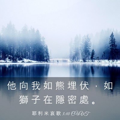 Picture 03 - 耶 利 米 哀 歌 3:10 CUVT - 他 向 我 如 熊 埋 伏 ， 如 獅 子 在 - Bible Verse Picture