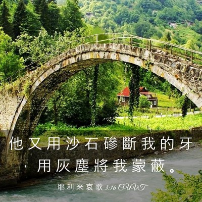 Picture 03 - 耶 利 米 哀 歌 3:16 CUVT - 他 又 用 沙 石 磣 斷 我 的 牙 ， 用 - Bible Verse Picture