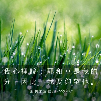 Picture 03 - 耶 利 米 哀 歌 3:24 CUVT - 我 心 裡 說 ： 耶 和 華 是 我 的 分 - Bible Verse Picture