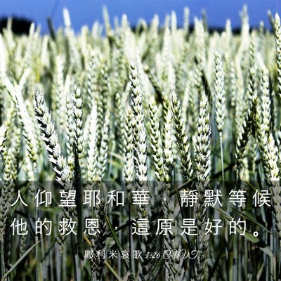 Picture 03 - 耶 利 米 哀 歌 3:26 CUVT - 人 仰 望 耶 和 華 ， 靜 默 等 候 他 - Bible Verse Picture