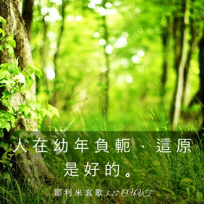 Picture 03 - 耶 利 米 哀 歌 3:27 CUVT - 人 在 幼 年 負 軛 ， 這 原 是 好 的 - Bible Verse Picture