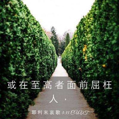 Picture 03 - 耶 利 米 哀 歌 3:35 CUVT - 或 在 至 高 者 面 前 屈 枉 人 - Bible Verse Picture