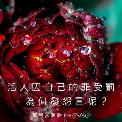Picture 03 - 耶 利 米 哀 歌 3:39 CUVT - 活 人 因 自 己 的 罪 受 罰 ， 為 何 - Bible Verse Picture