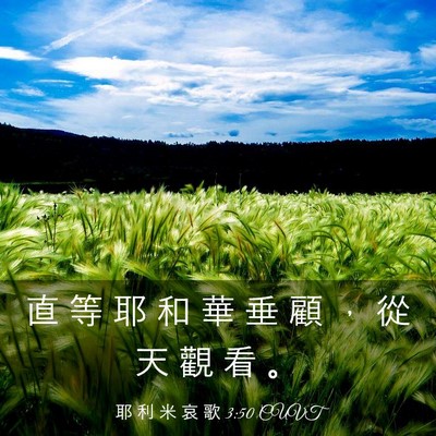 Picture 03 - 耶 利 米 哀 歌 3:50 CUVT - 直 等 耶 和 華 垂 顧 ， 從 天 觀 看 - Bible Verse Picture