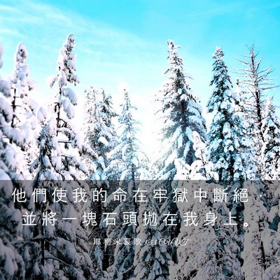 Picture 03 - 耶 利 米 哀 歌 3:53 CUVT - 他 們 使 我 的 命 在 牢 獄 中 斷 絕 - Bible Verse Picture