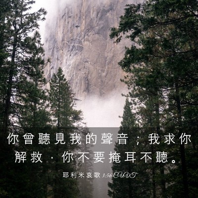 Picture 03 - 耶 利 米 哀 歌 3:56 CUVT - 你 曾 聽 見 我 的 聲 音 ； 我 求 你 - Bible Verse Picture