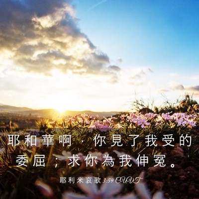 Picture 03 - 耶 利 米 哀 歌 3:59 CUVT - 耶 和 華 啊 ， 你 見 了 我 受 的 委 - Bible Verse Picture