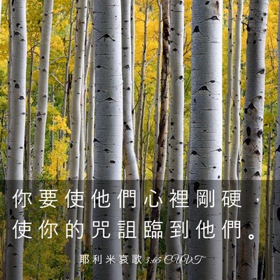 Picture 03 - 耶 利 米 哀 歌 3:65 CUVT - 你 要 使 他 們 心 裡 剛 硬 ， 使 你 - Bible Verse Picture