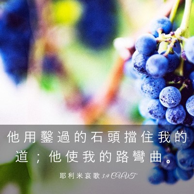 Picture 03 - 耶 利 米 哀 歌 3:9 CUVT - 他 用 鑿 過 的 石 頭 擋 住 我 的 道 - Bible Verse Picture
