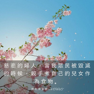 Picture 03 - 耶 利 米 哀 歌 4:10 CUVT - 慈 悲 的 婦 人 ， 當 我 眾 民 被 毀 - Bible Verse Picture