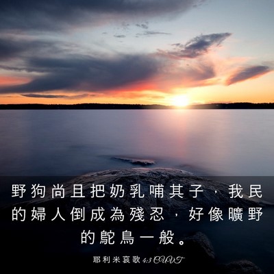 Picture 03 - 耶 利 米 哀 歌 4:3 CUVT - 野 狗 尚 且 把 奶 乳 哺 其 子 ， 我 - Bible Verse Picture