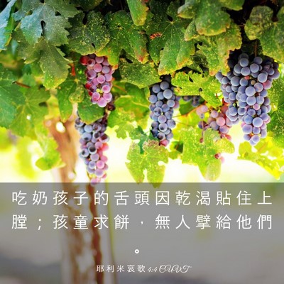 Picture 03 - 耶 利 米 哀 歌 4:4 CUVT - 吃 奶 孩 子 的 舌 頭 因 乾 渴 貼 住 - Bible Verse Picture