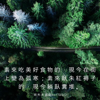 Picture 03 - 耶 利 米 哀 歌 4:5 CUVT - 素 來 吃 美 好 食 物 的 ， 現 今 在 - Bible Verse Picture