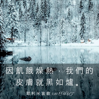 Picture 03 - 耶 利 米 哀 歌 5:10 CUVT - 因 飢 餓 燥 熱 ， 我 們 的 皮 膚 就 - Bible Verse Picture