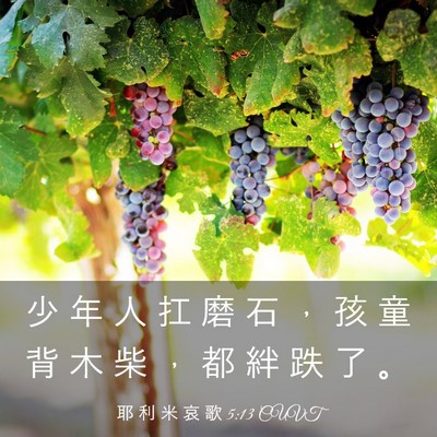 Picture 03 - 耶 利 米 哀 歌 5:13 CUVT - 少 年 人 扛 磨 石 ， 孩 童 背 木 柴 - Bible Verse Picture
