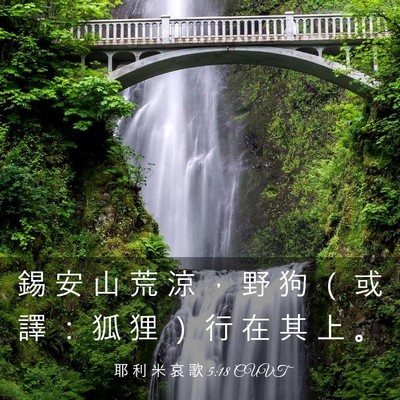 Picture 03 - 耶 利 米 哀 歌 5:18 CUVT - 錫 安 山 荒 涼 ， 野 狗 （ 或 譯 ： - Bible Verse Picture