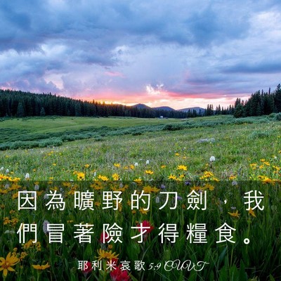 Picture 03 - 耶 利 米 哀 歌 5:9 CUVT - 因 為 曠 野 的 刀 劍 ， 我 們 冒 著 - Bible Verse Picture