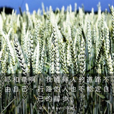 Picture 03 - 耶 利 米 書 10:23 CUVT - 耶 和 華 啊 ， 我 曉 得 人 的 道 路 - Bible Verse Picture