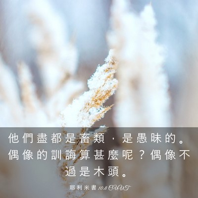 Picture 03 - 耶 利 米 書 10:8 CUVT - 他 們 盡 都 是 畜 類 ， 是 愚 昧 的 - Bible Verse Picture