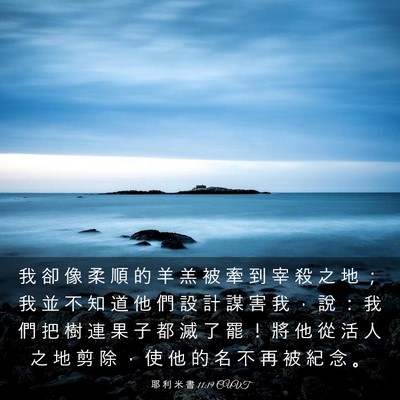Picture 03 - 耶 利 米 書 11:19 CUVT - 我 卻 像 柔 順 的 羊 羔 被 牽 到 宰 - Bible Verse Picture