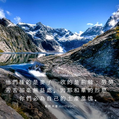 Picture 03 - 耶 利 米 書 12:13 CUVT - 他 們 種 的 是 麥 子 ， 收 的 是 荊 - Bible Verse Picture