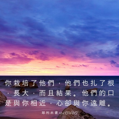Picture 03 - 耶 利 米 書 12:2 CUVT - 你 栽 培 了 他 們 ， 他 們 也 扎 了 - Bible Verse Picture