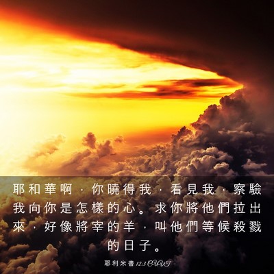 Picture 03 - 耶 利 米 書 12:3 CUVT - 耶 和 華 啊 ， 你 曉 得 我 ， 看 見 - Bible Verse Picture
