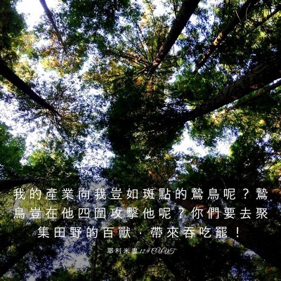 Picture 03 - 耶 利 米 書 12:9 CUVT - 我 的 產 業 向 我 豈 如 斑 點 的 鷙 - Bible Verse Picture