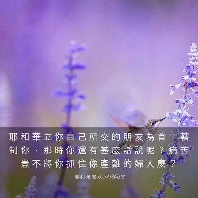 Picture 03 - 耶 利 米 書 13:21 CUVT - 耶 和 華 立 你 自 己 所 交 的 朋 友 - Bible Verse Picture