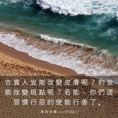 Picture 03 - 耶 利 米 書 13:23 CUVT - 古 實 人 豈 能 改 變 皮 膚 呢 ？ 豹 - Bible Verse Picture