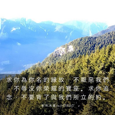 Picture 03 - 耶 利 米 書 14:21 CUVT - 求 你 為 你 名 的 緣 故 ， 不 厭 惡 - Bible Verse Picture