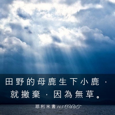 Picture 03 - 耶 利 米 書 14:5 CUVT - 田 野 的 母 鹿 生 下 小 鹿 ， 就 撇 - Bible Verse Picture